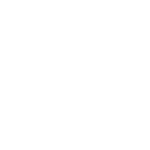 10th International Symposium on Advanced Ovarian Cancer