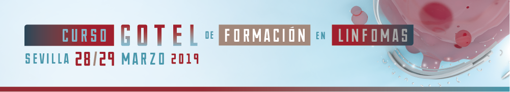 XII Curso GOTEL de Formación en Linformas