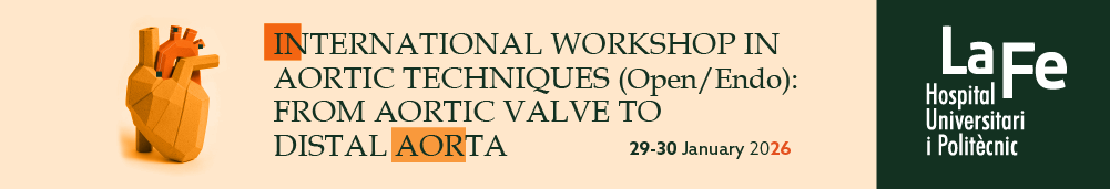 International Workshop in Aortic Techniques